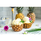 Fresh Pineapple Cutter & Corer (2-Pack) product image