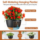 Indoor/Outdoor Hanging Planter Pot (4-Pack) product image