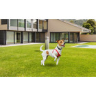 iMounTEK® Wireless Electric Fence for Dogs product image
