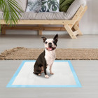 iMounTEK® Disposable Dog Training Underpad Chux, 50 ct. product image
