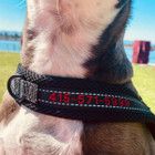 Personalized Nylon Reflective Dog Harness product image
