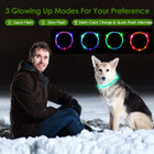 iMounTEK® USB-Rechargeable LED Dog Collar product image