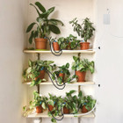 iMounTEK® Automatic Plant Waterer product image