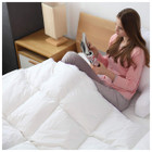 Cheer Collection™ Luxurious Down Alternative Comforter product image