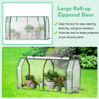 47.5 x 21.5 x 24-Inch Mini Greenhouse with Roll-up Zipper Door product image