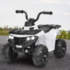 Costway Kids 6V Ride-On Electric ATV Quad product image