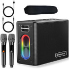 ZeeLink Karaoke Machine with 2 Microphones product image