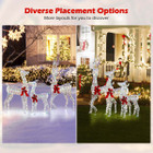 3-Piece Lighted Christmas Reindeer Family with LED Lights product image
