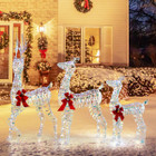 3-Piece Lighted Christmas Reindeer Family with LED Lights product image