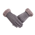 Clarissa Suede Touchscreen Gloves product image