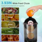 Wide Feed Chute Electric Juicer Extractor Machine product image