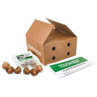 Easy Growing & Long-Lasting Flower Bulbs  (4 Varieties) product image