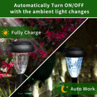 Solar Pathway Light (12-Pack) product image