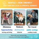 Calming Hemp Chews for Dog product image