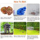 25.59" Humane Animal Trap Cage product image