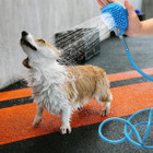 Pet Shower Attachment product image