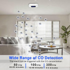 Carbon Monoxide Detector product image