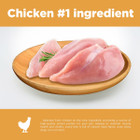 Chewmistry 16oz Chicken Jerky Dog Treats product image