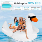 Inflatable Swan Pool Float with Cup Holder and Electric Pump product image
