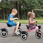 Toddler Trike with Adjustable Seat  product image