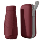 Seamless Outdoors Umbrella with Carry Case product image