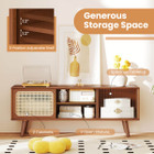 Mid-Century Modern TV Stand with Adjustable Shelf product image