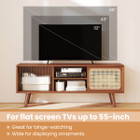 Mid-Century Modern TV Stand with Adjustable Shelf product image
