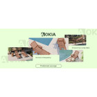 Aokia Patio Chaise Lounge Chairs (Set of 2) product image