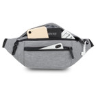 Lightweight Traveler Fanny Pack product image