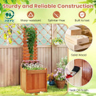 Wooden Raised Garden Bed with Open-Ended Base and Trellis product image