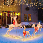 3-Piece Christmas Reindeer Family Decoration Set  product image