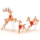 3-Piece Christmas Reindeer Family Decoration Set  product image