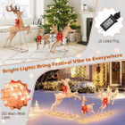 3-Piece Christmas Reindeer Family Decoration Set  product image
