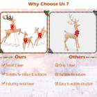 3-Piece Christmas Reindeer Family Decoration Set  product image