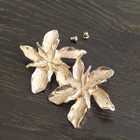 Coconut Flower Earrings product image