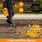 Dual Speed Cordless Leaf Blower product image