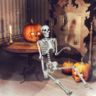 Life-Size Realistic Skeleton product image