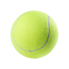 9.5-Inch Giant Inflatable Tennis Ball product image