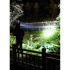 TrailBlazer Head Lamp (3-Pack) product image