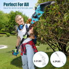 2-in-1 Pole Saw and Mini Chainsaw product image