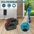 2-in-1 Pole Saw and Mini Chainsaw product image