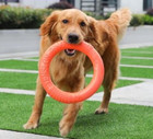 Heavy Duty Dog Ring Toy product image