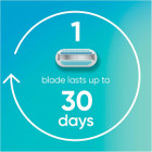 Gillette Venus Smooth Women's Razor Blade Refills (8 Count) product image