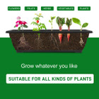5-Tier 4.4 FT Vertical Garden Bed with 4 Wheels product image