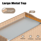 Outdoor Wicker Storage Cabinet with 2 Doors  product image