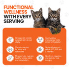 Scoochie Pet Salmon, Chicken Stew Wet Cat Food (4, 8, or 16-Pack) product image