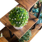 Heart Shape 6-Layer Indoor Plant Rack (2-Pack) product image