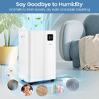  54-Pints Dehumidifier with 4L Water Tank and LED Display product image
