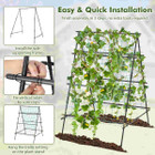 Cucumber Trellis  product image