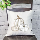 Gray Pumpkin Medley Pillow Cover product image